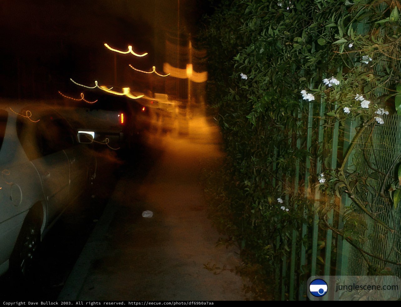 Nighttime Traffic Rush