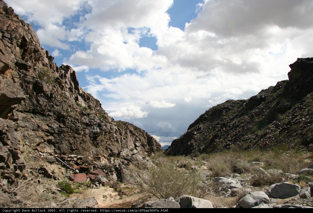 Journey Through the Wilderness
