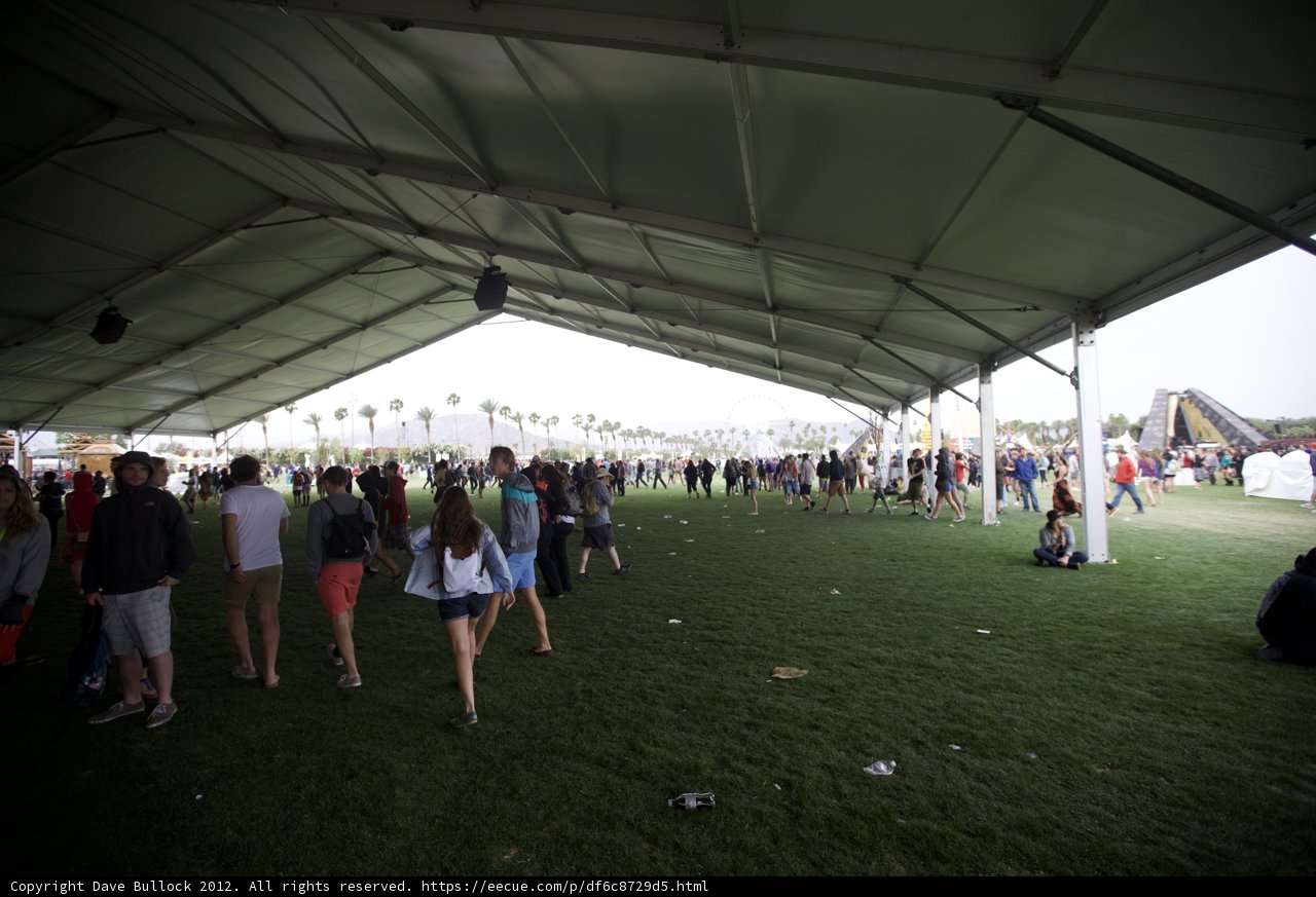 Walking under the Canopy