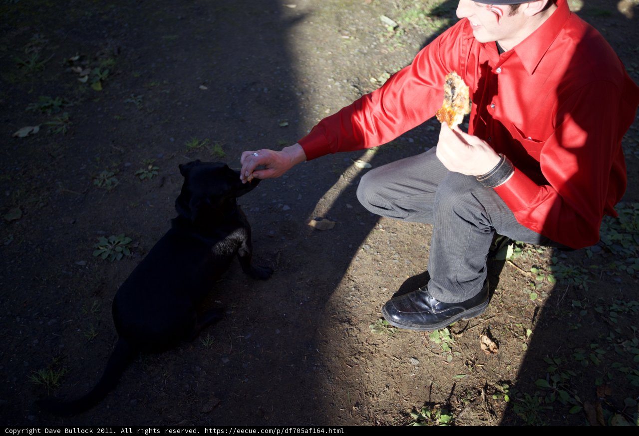 Man Shares Pizza with Furry Friend