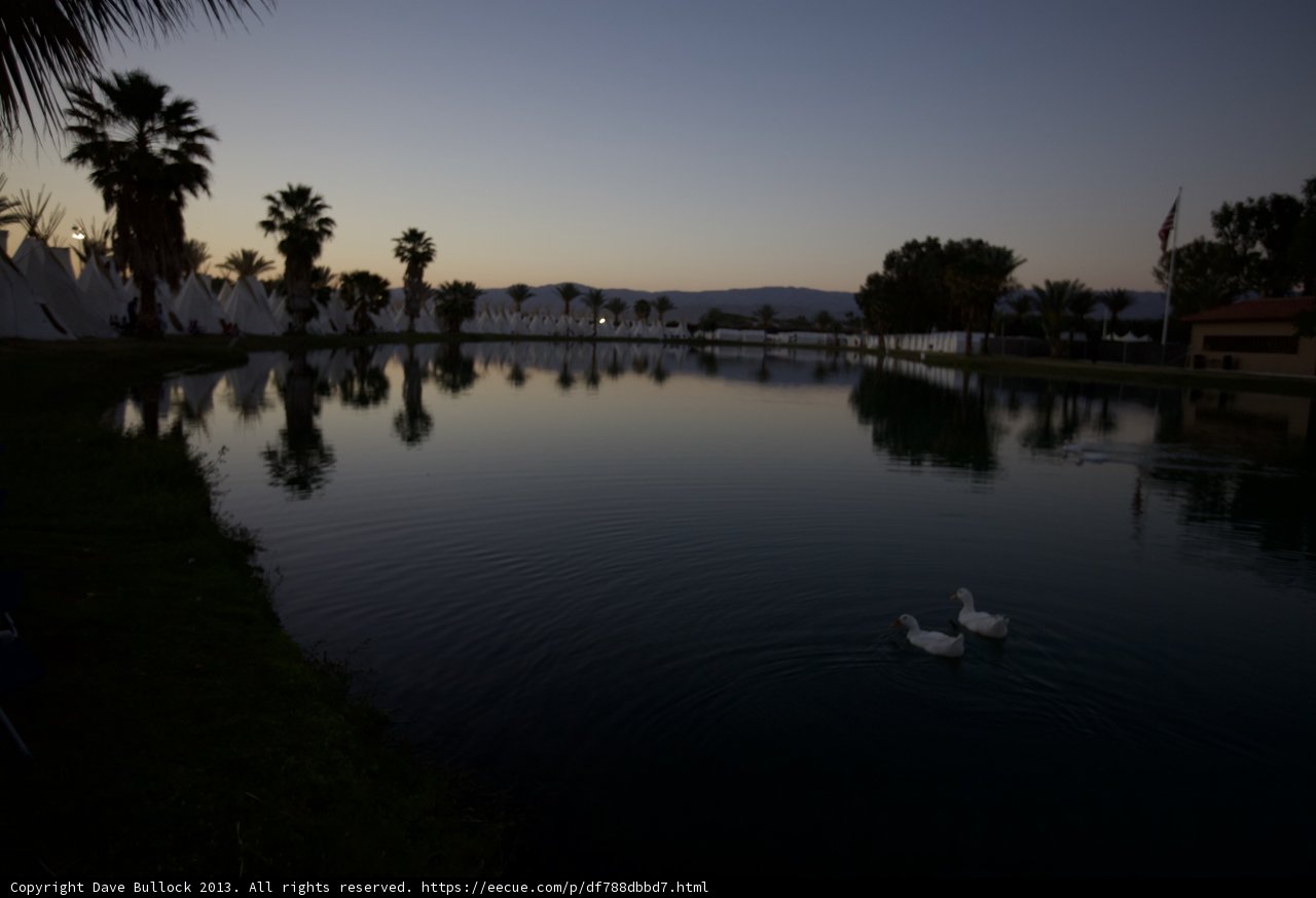 Serene Sunset Swans