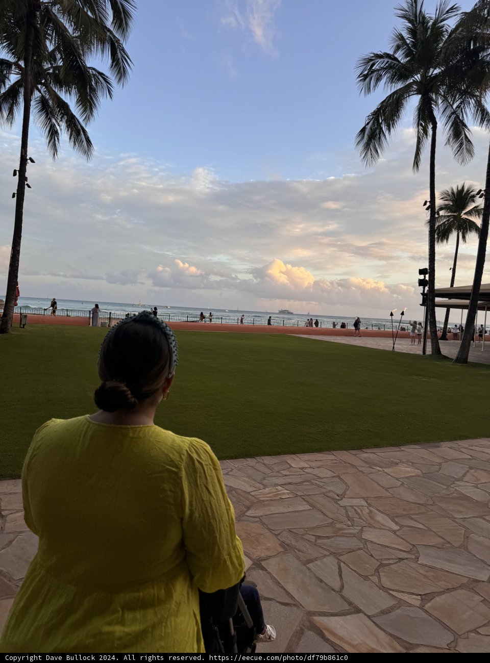 A Hawaiian Serenade: Gazing into the Pacific Horizon