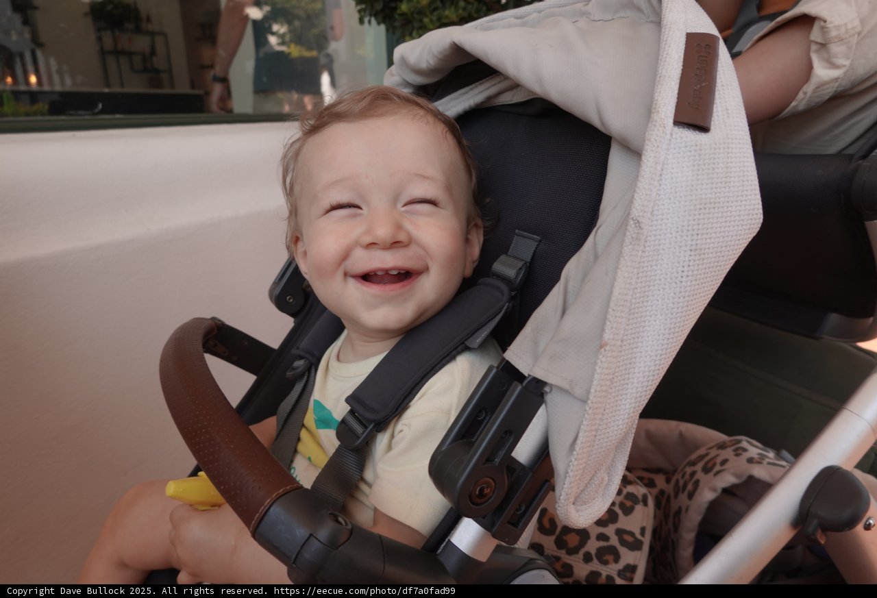 Joyful Moments on a Bright Day