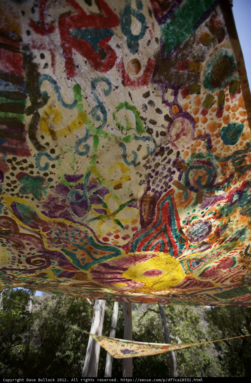 Colorful Canopy Art