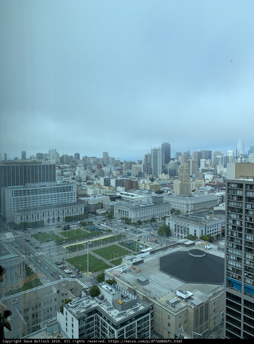 Urban Jungle