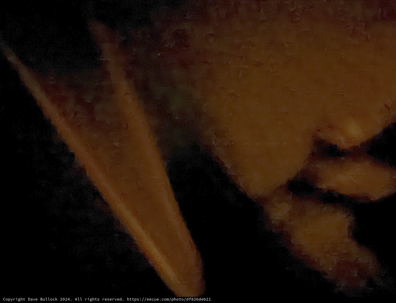 Intimate Candlelit Portrait in Warm Golden Light