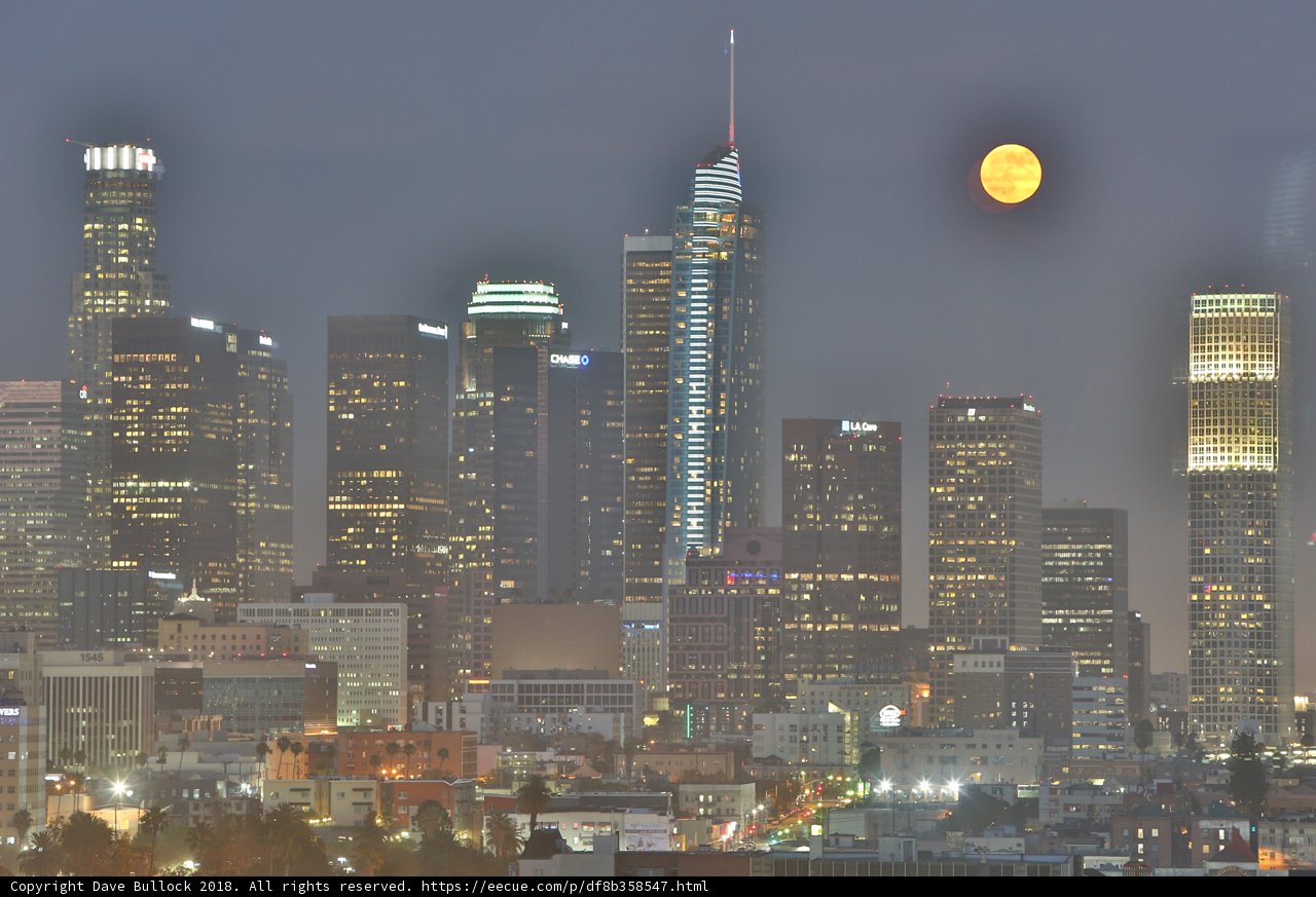 Moonrise over the urban jungle