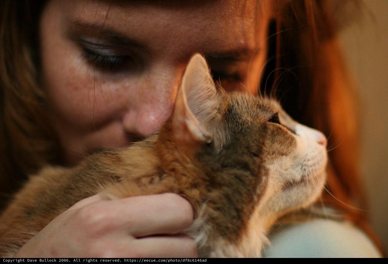 Tender Moment Between Woman and Orange Tabby Cat