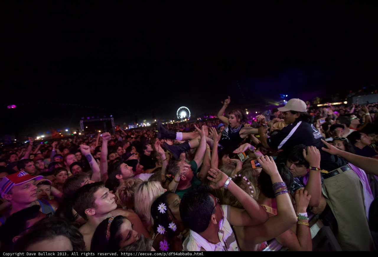 Coachella Nights