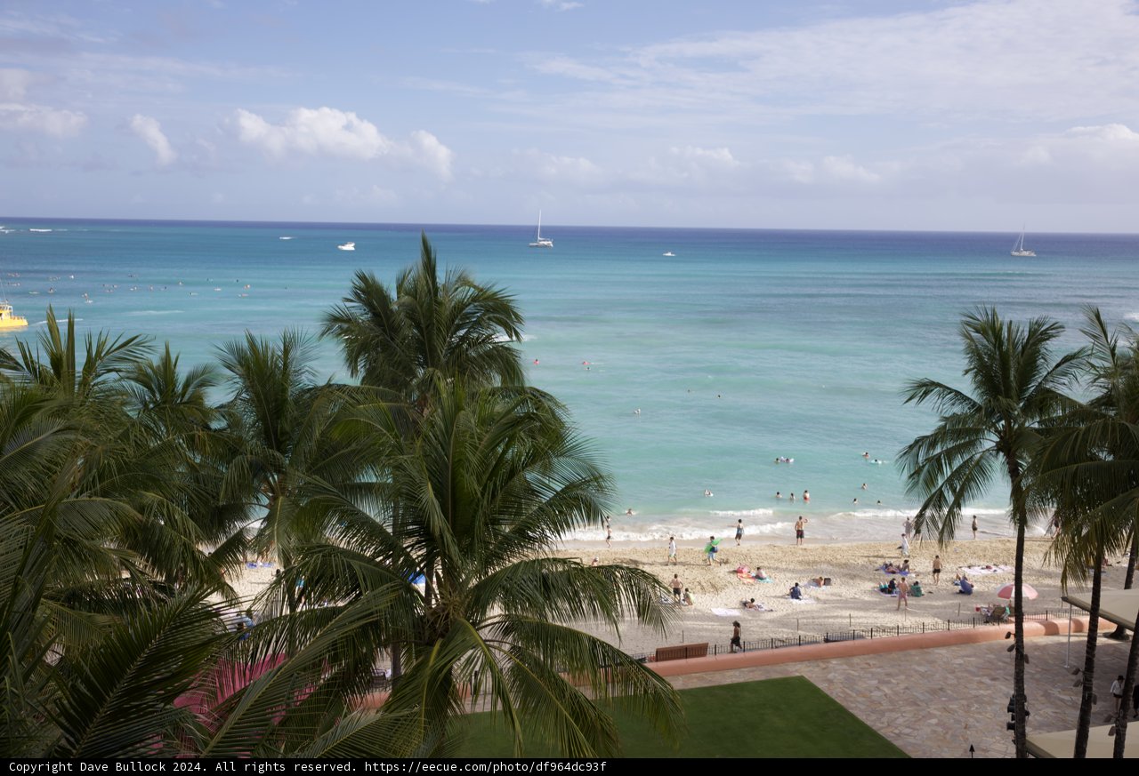 Tropical Serenity: A Verdant View of Hawaii's Shoreline