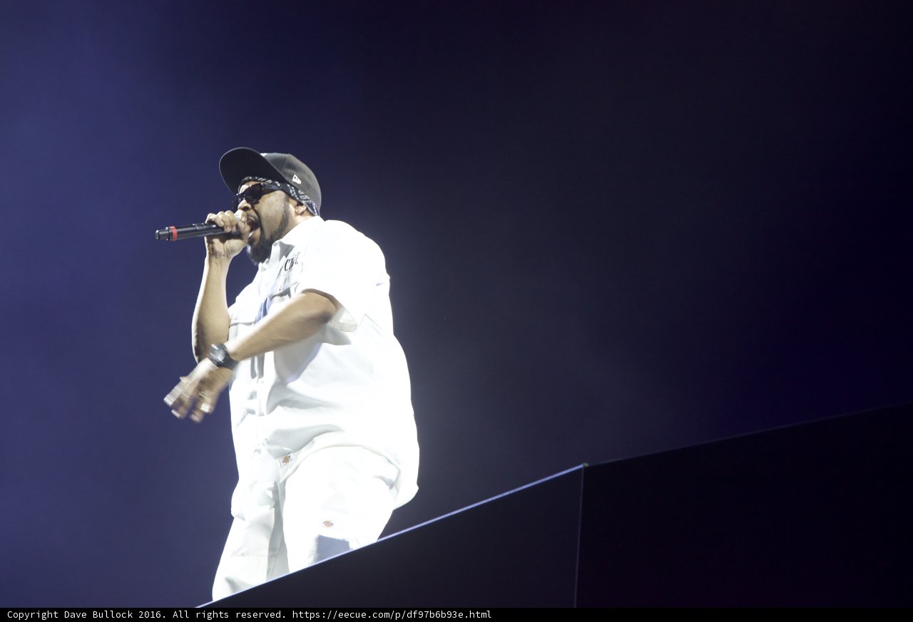 Solo Performance at Coachella Festival