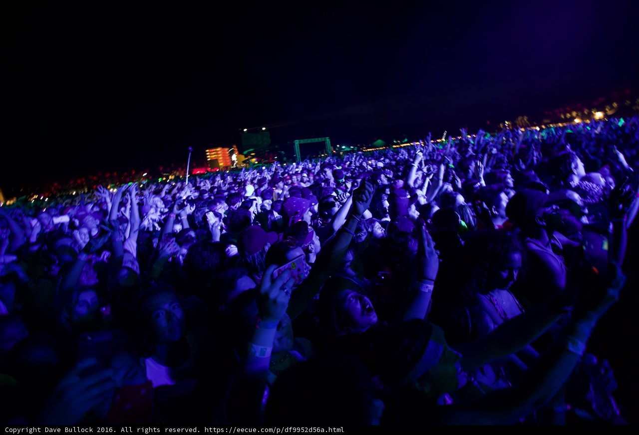 Electric Night: A Concert Crowd Reaches for the Sky