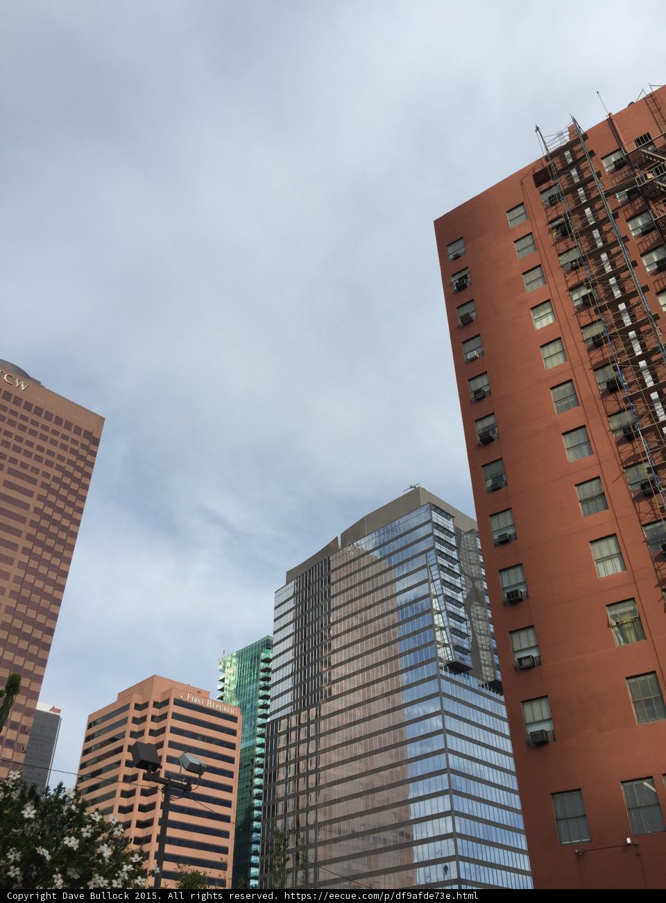 Towering Over the City