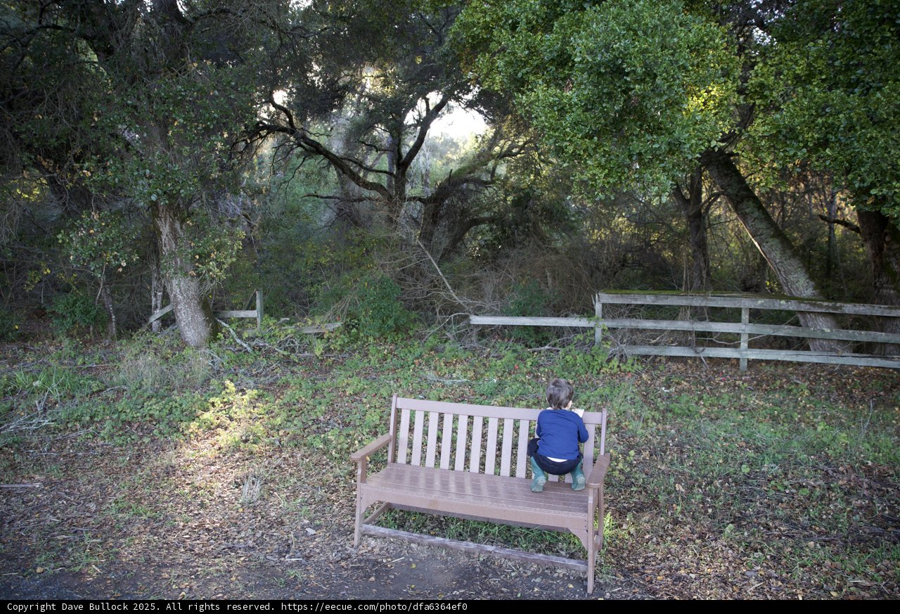 Quiet Moments in Thistlewyck Garden