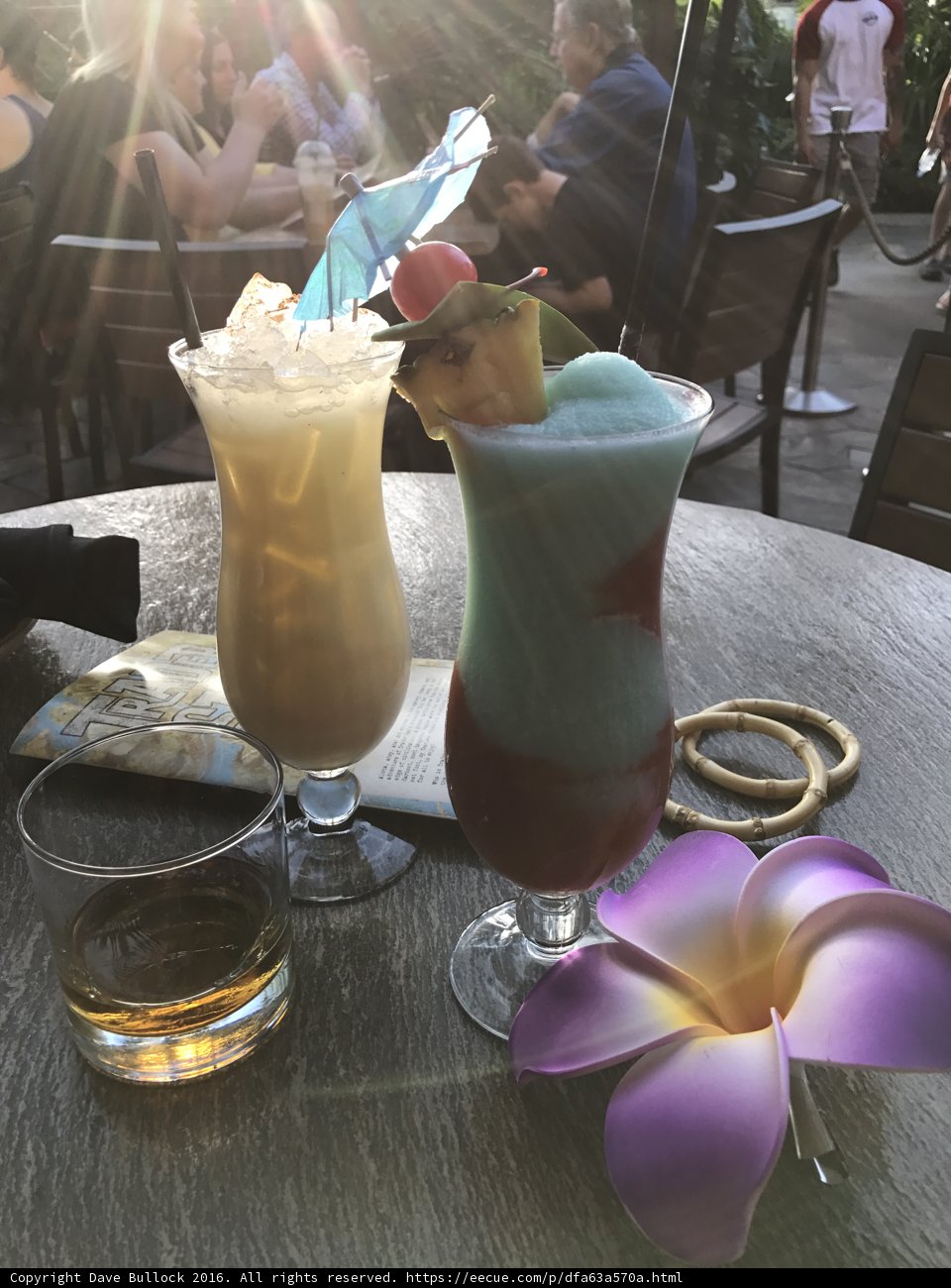 A Refreshing Break at the Disneyland Hotel