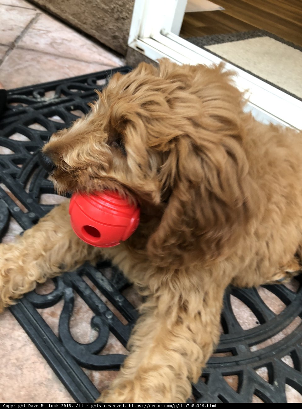 Red Ball Fun