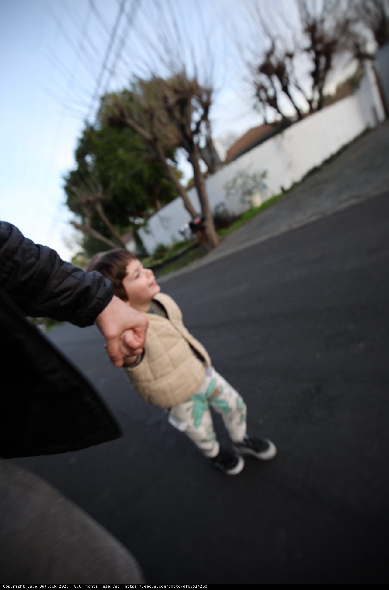 Parent and Child Walking Hand in Hand at Dusk