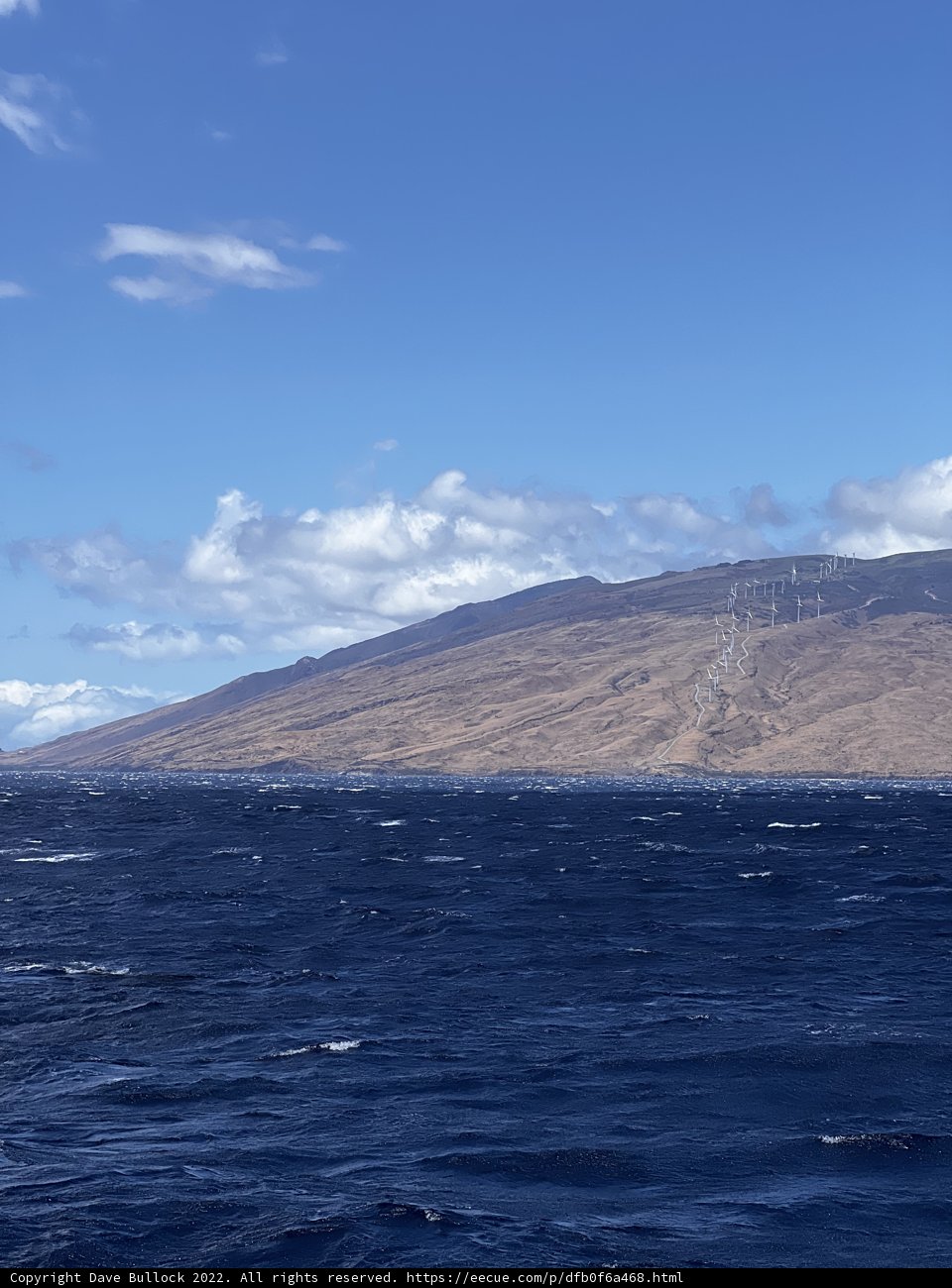 Serenity of the Pacific