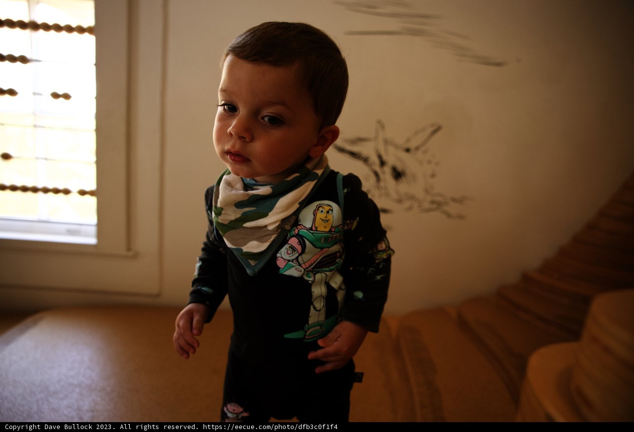 The Young Cosmic Explorer