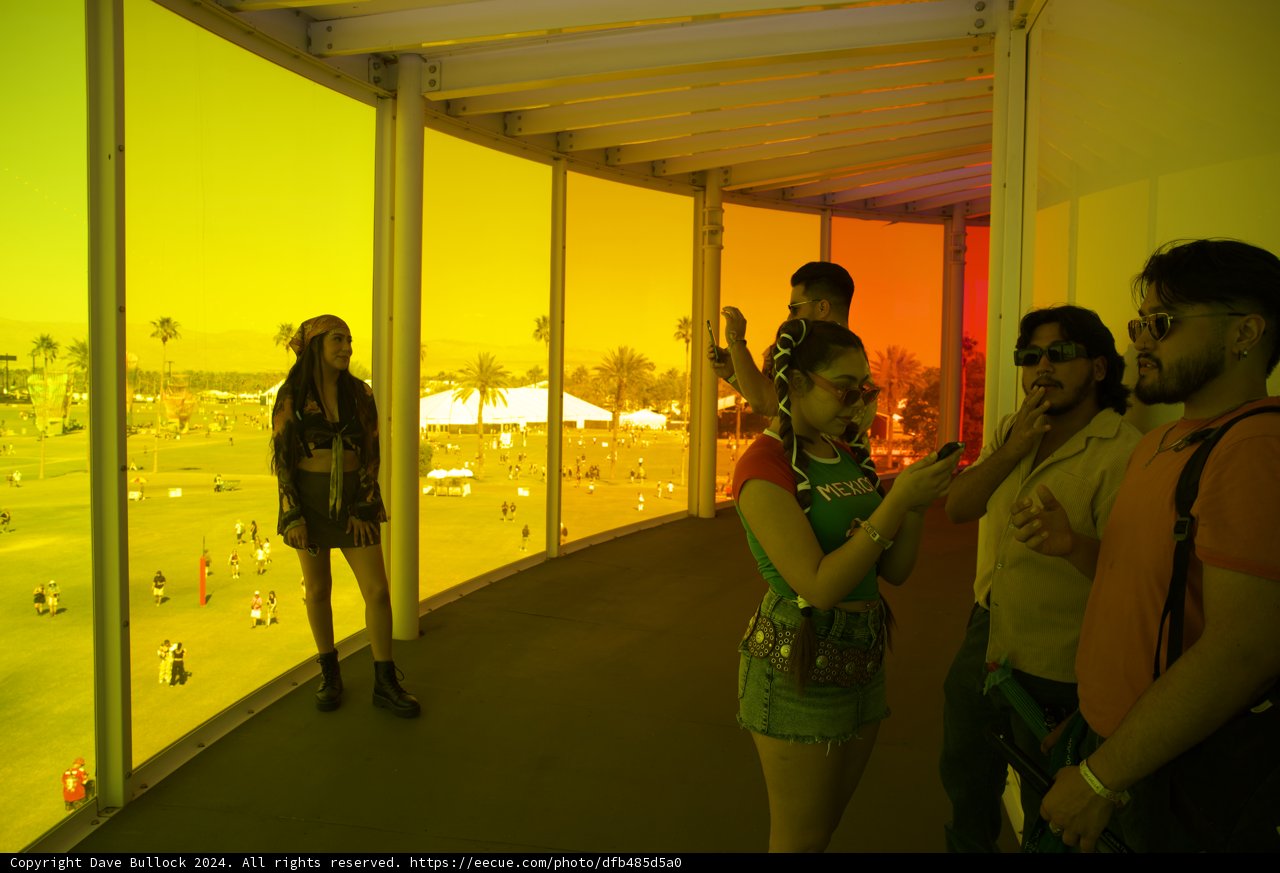 Vibrant Encounters at Coachella 2024