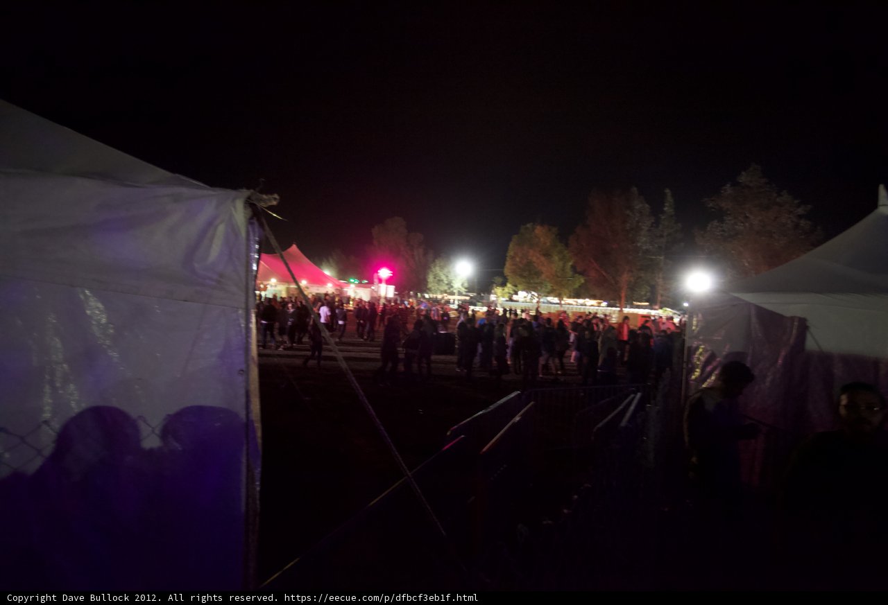 Nightly Crowd in Flare-lit Tent