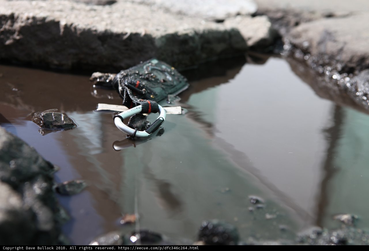 Turtle Pond Toys