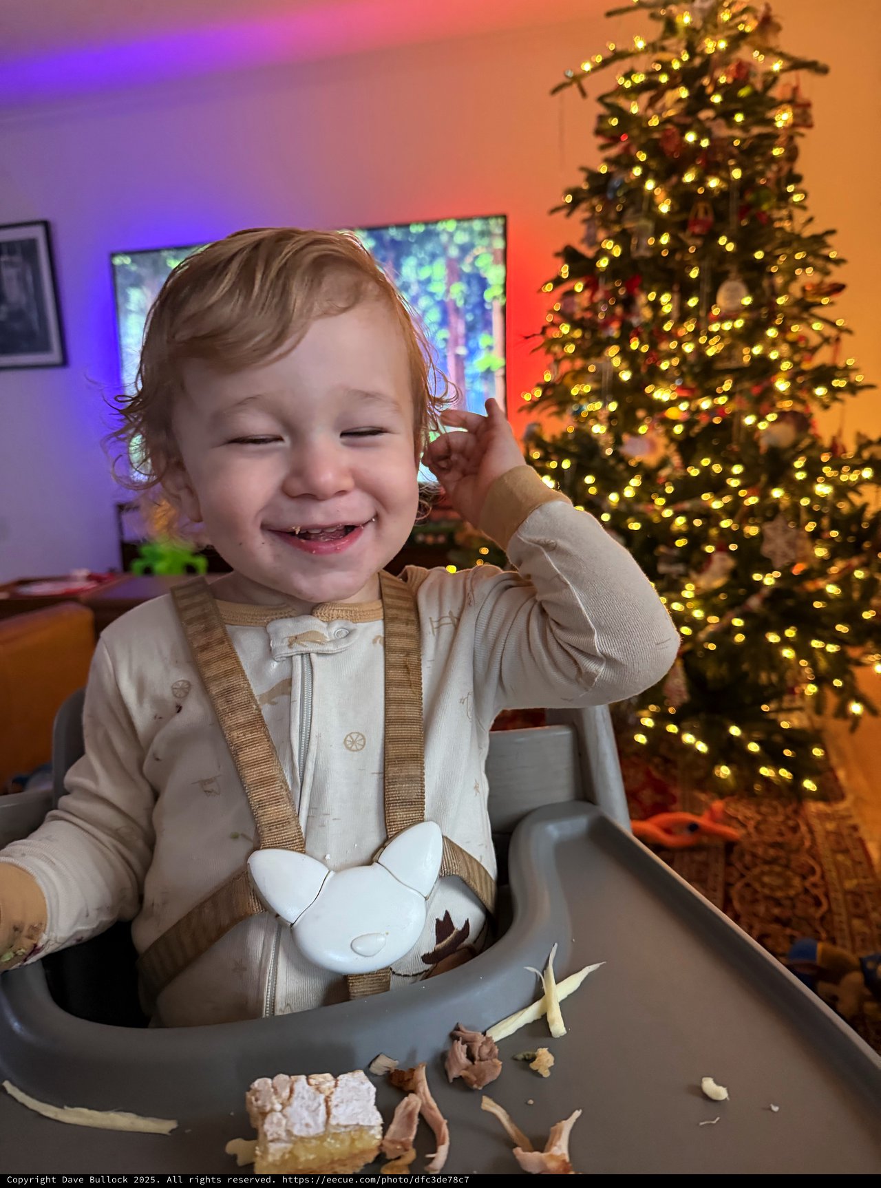 Joyful Toddler's Christmas Celebration at Home