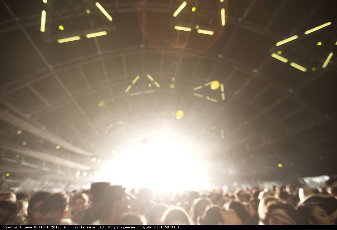 Spotlight on the Concert Crowd