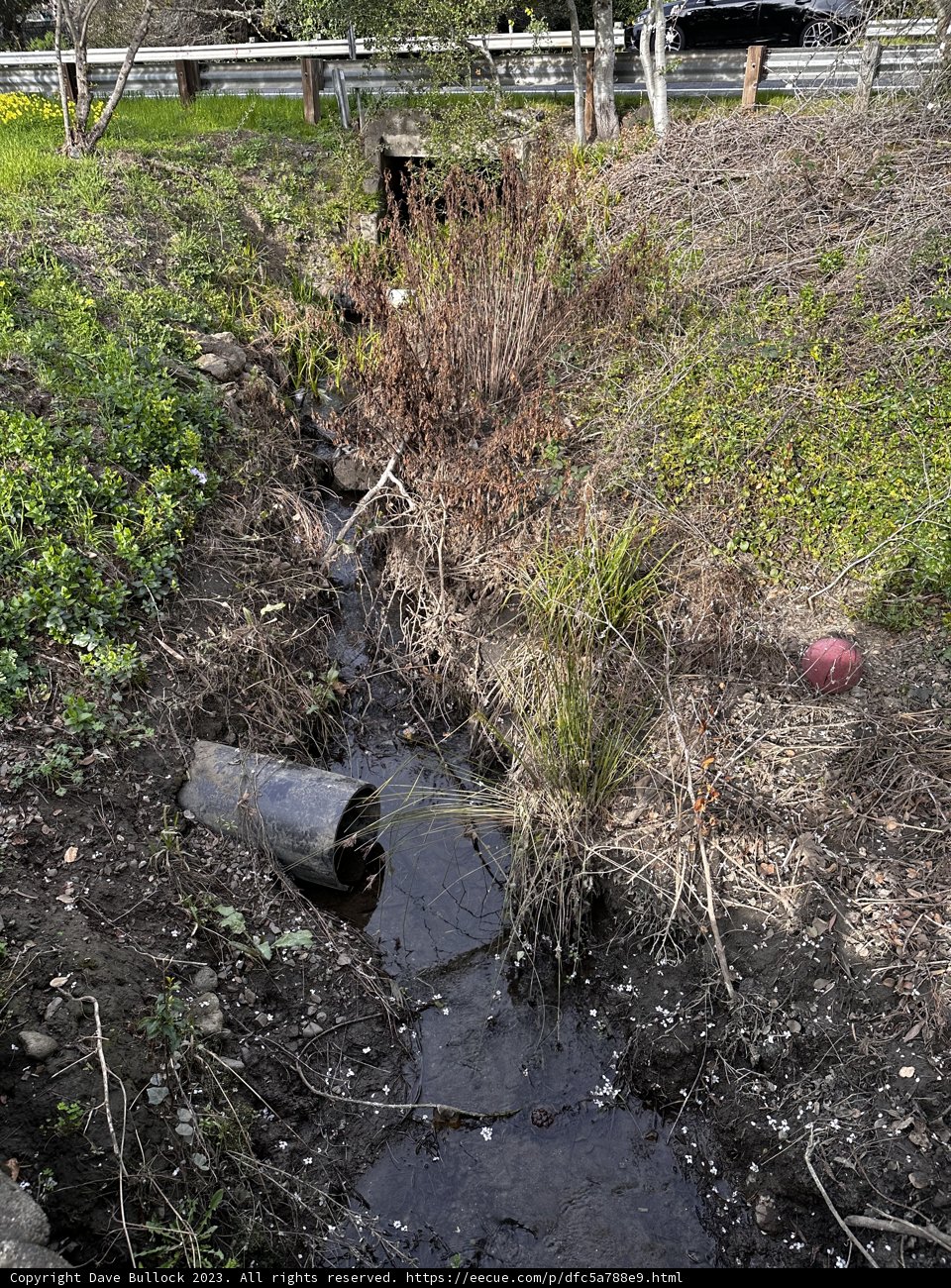 Serene Stream in a Field