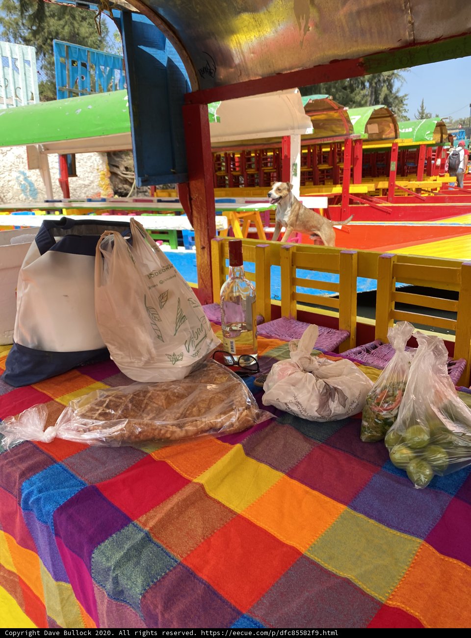 Outdoor Feast in Xochimilco