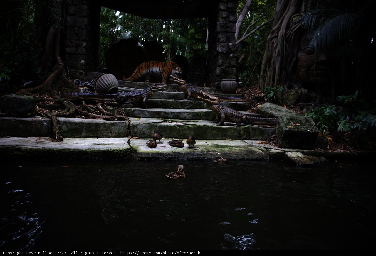 Majestic Tiger at Disneyland