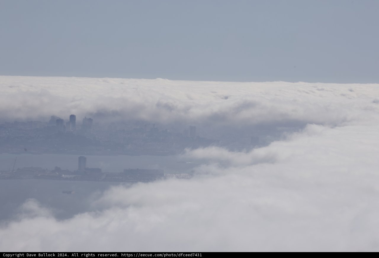 Enveloped in Mist: A City's Winter Cloak