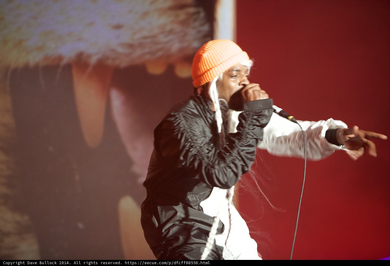 Solo Performance under the Coachella Lights