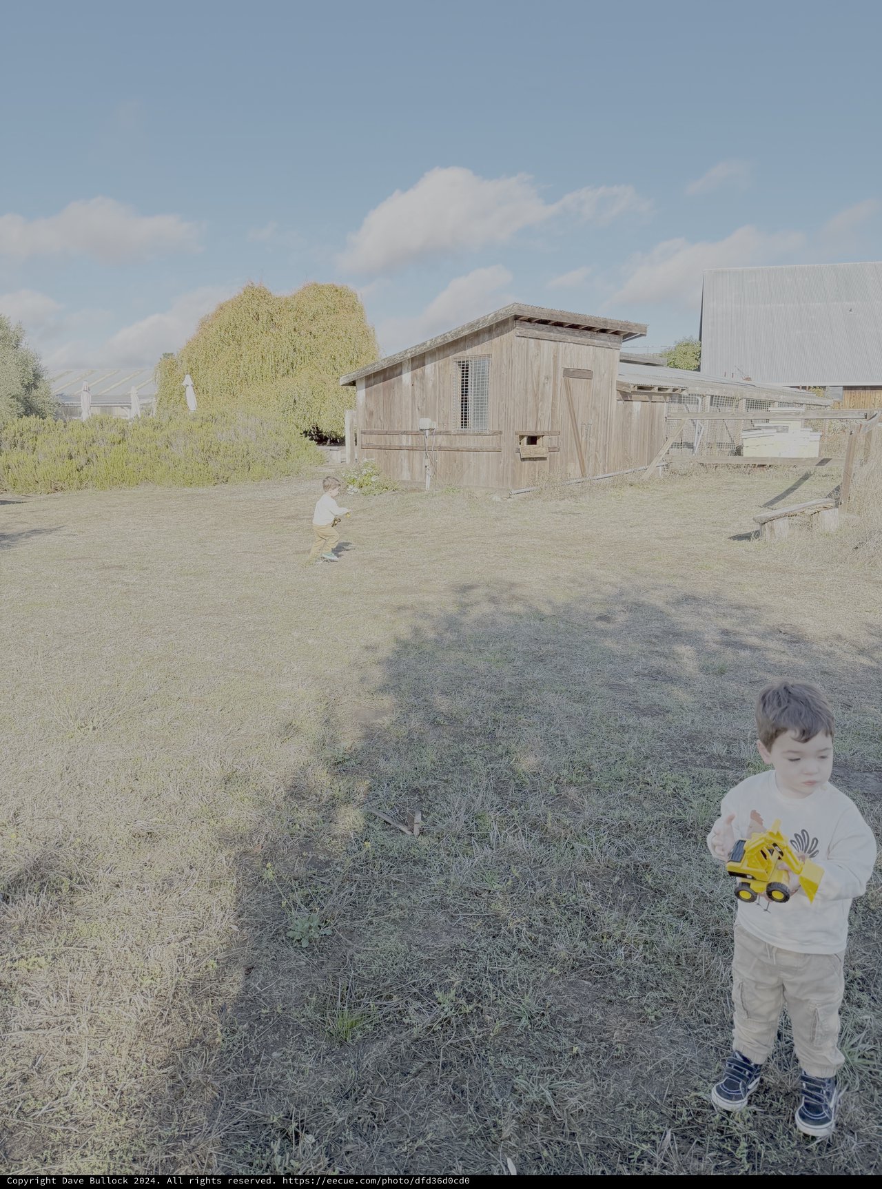 Toddler Playing on Farm with Chickens