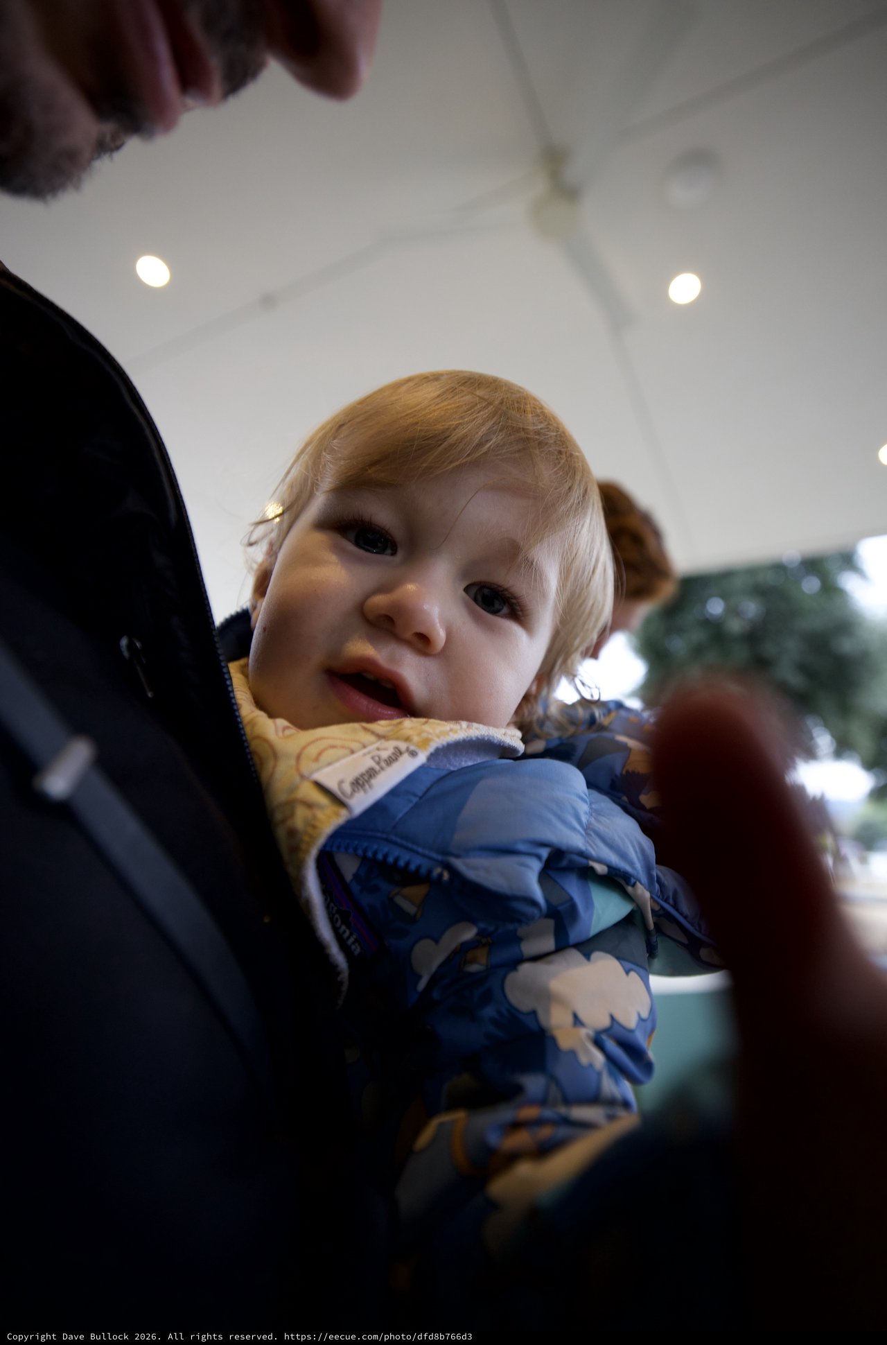 Toddler's Curious Gaze at Family Restaurant