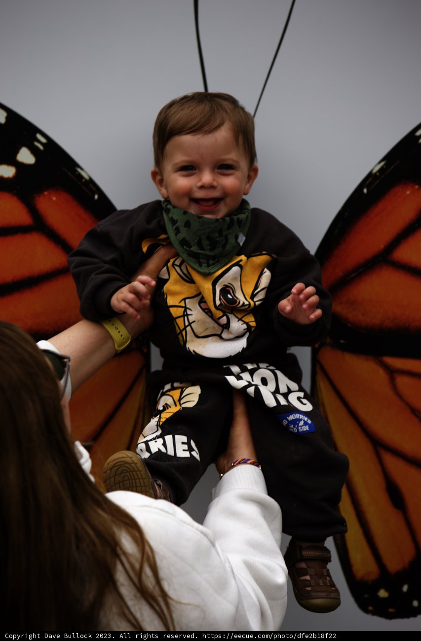 Cherubic Charm at San Francisco Zoo