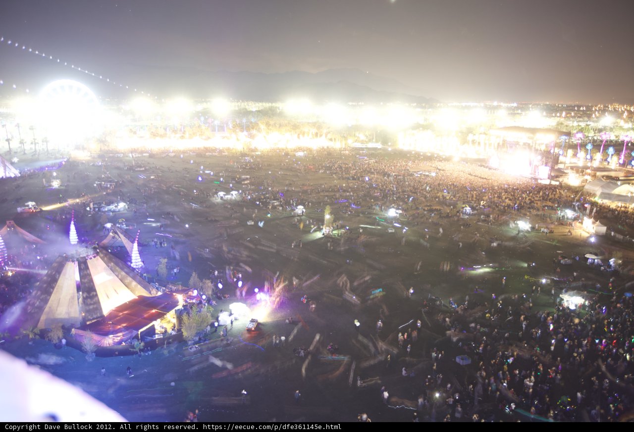 Night Lights and Festival Delights