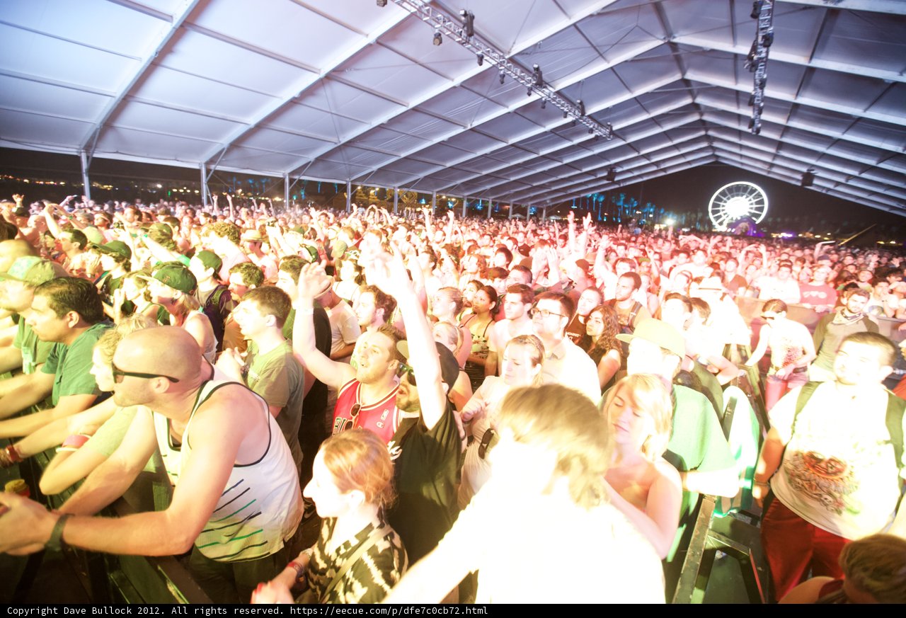 Coachella Crowd Goes Wild