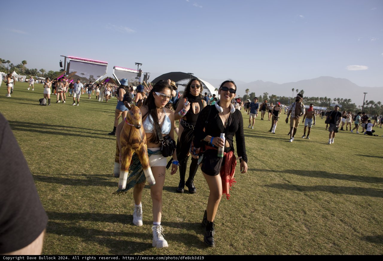 Festival Vibes: Coachella 2024