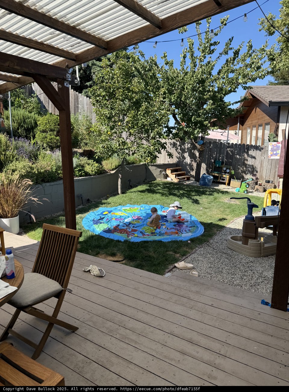 Summer Fun in the Backyard