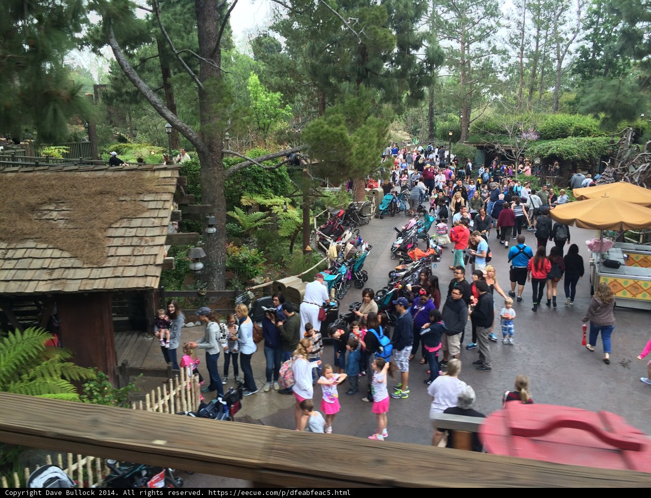 A Vibrant Crowd in Disneyland Park