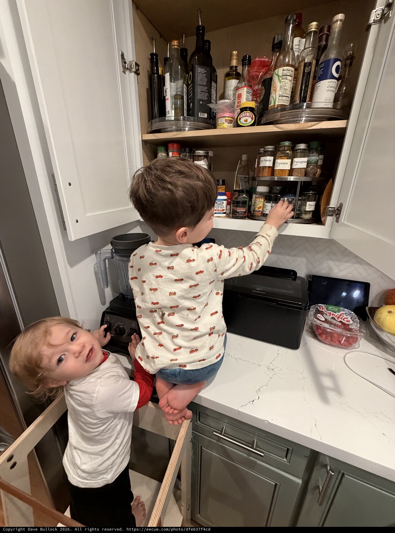 Two Young Boys Exploring Kitchen Cabinet Together