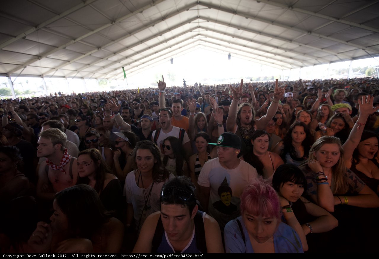 The Massive Crowd at Coachella Music Festival