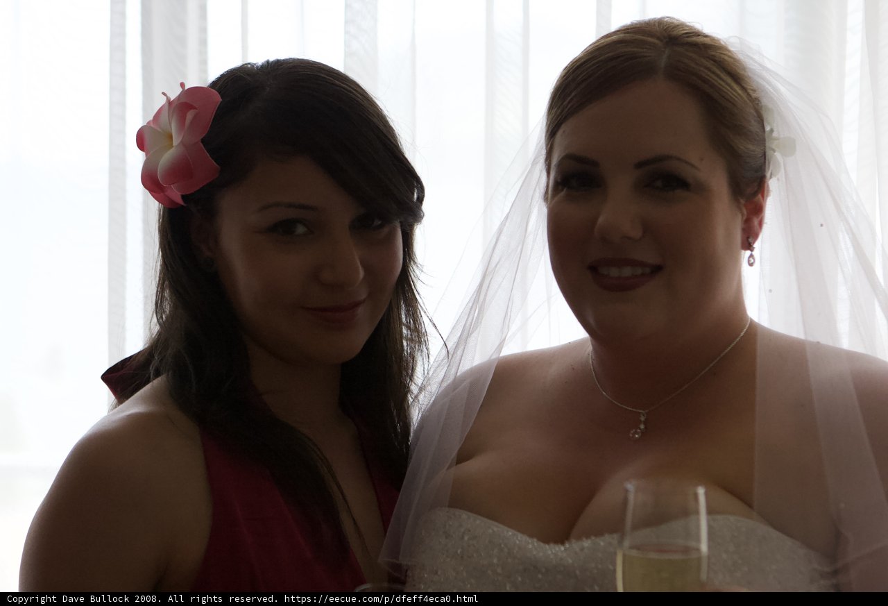 Wedding Belles in Hawaii