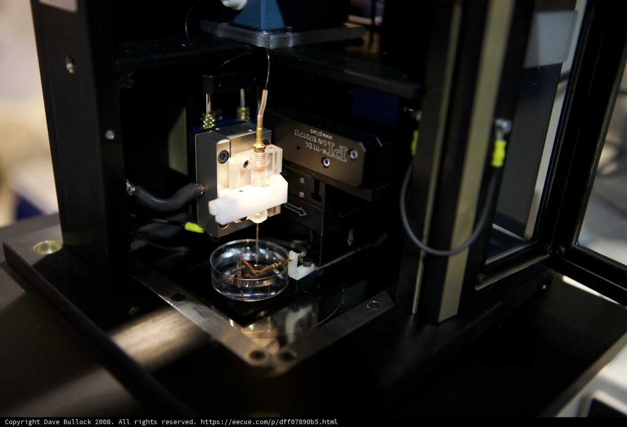 The Future of Biophysics