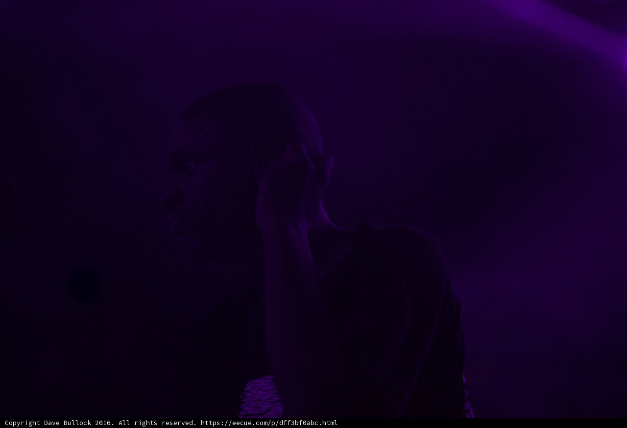 Purple Haze