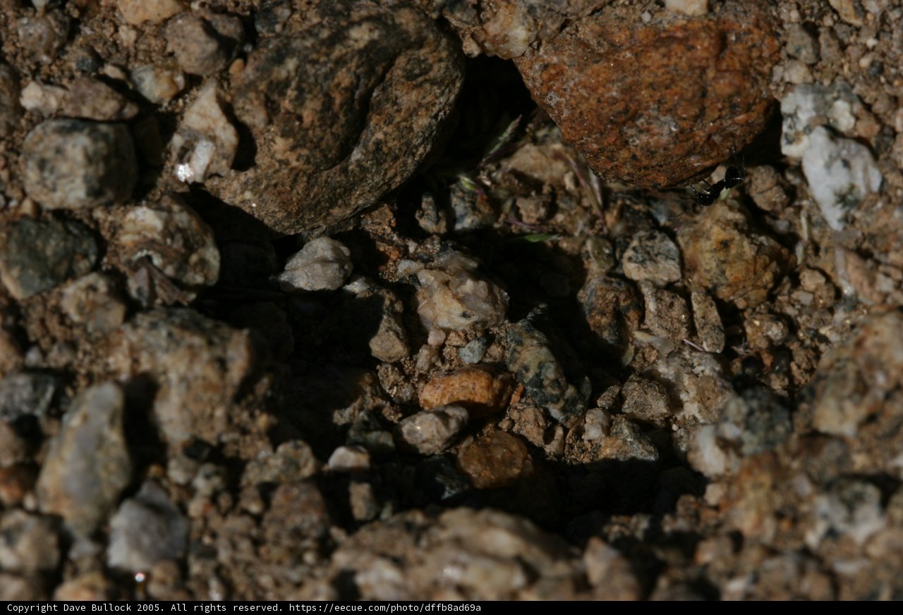 Rocky Texture