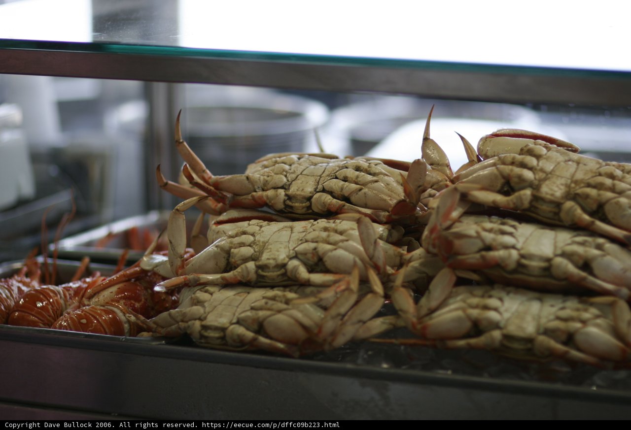 Crab Fest