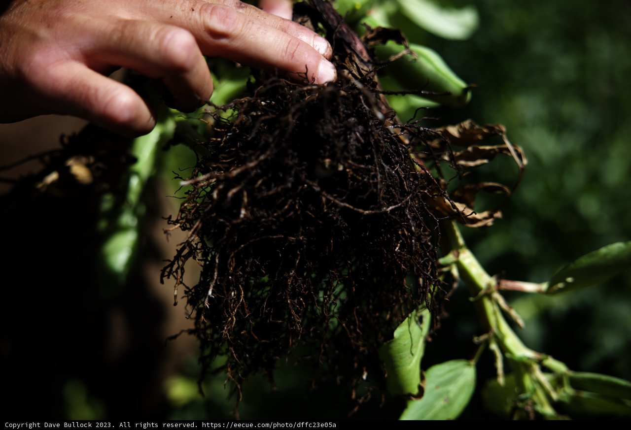 Nurturing Nature's Growth
