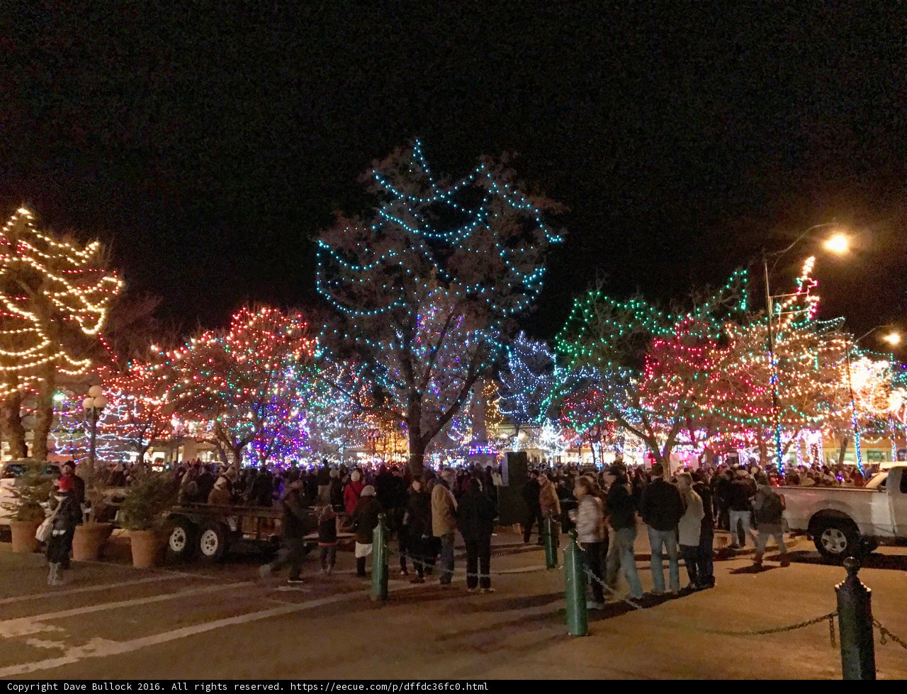 Twinkling Tree Delight